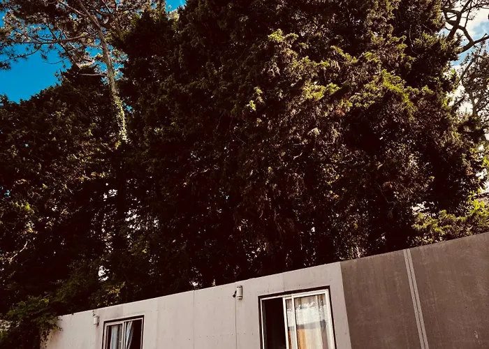 Pet Friendly hotel: Casa Infinita